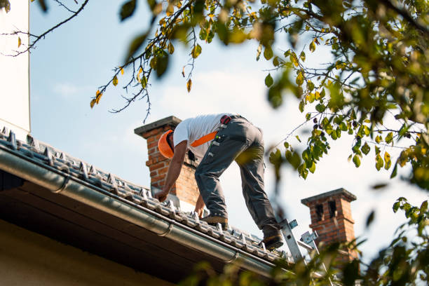 Best Sealant for Roof  in Mantachie, MS