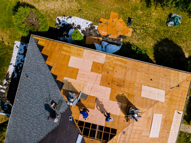 Best Roof Repair Services  in Mantachie, MS