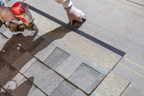 Best Shingle Roofing Installation  in Mantachie, MS