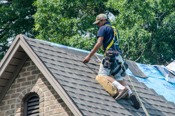 Best Metal Roofing Contractor  in Mantachie, MS