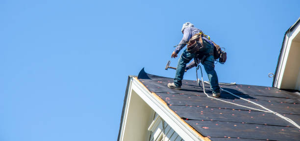 Roof Gutter Cleaning in Mantachie, MS